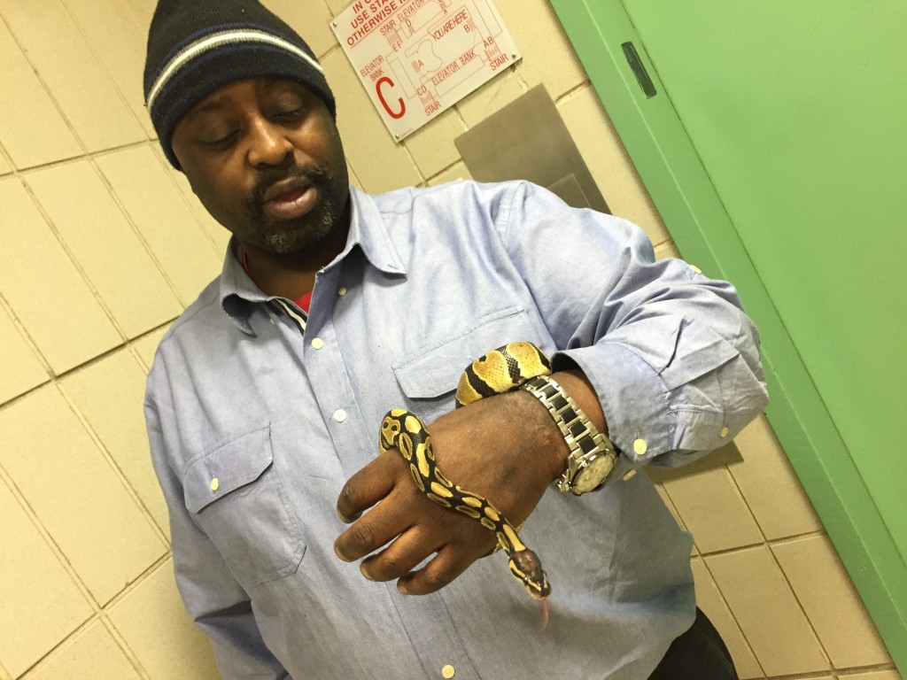 Mr. Beuzile takes his class's pet ball python, "Carnage" home for the weekend, but not before showing her off to our cameras.